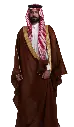 بشت اشقر ملكي_.webp